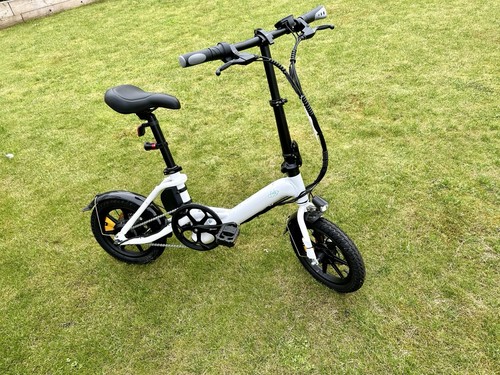 Fiido pro folding electric - d3,